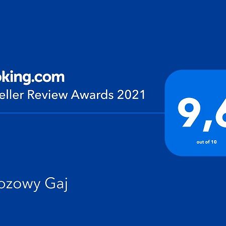 مبيت وإفطار Glowczyce Brzozowy Gaj المظهر الخارجي الصورة