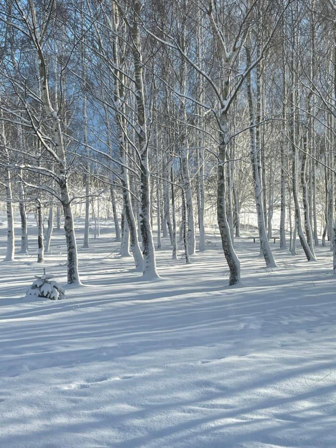مبيت وإفطار Glowczyce Brzozowy Gaj المظهر الخارجي الصورة