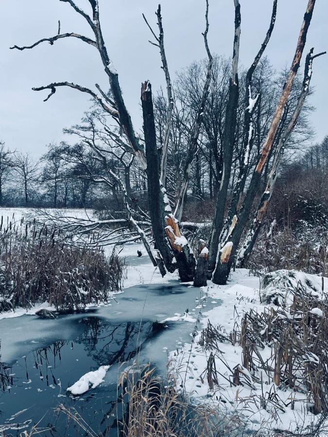 مبيت وإفطار Glowczyce Brzozowy Gaj المظهر الخارجي الصورة