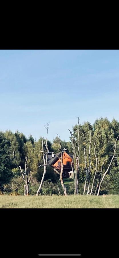 مبيت وإفطار Glowczyce Brzozowy Gaj المظهر الخارجي الصورة